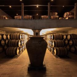 Vignobles Poitevin