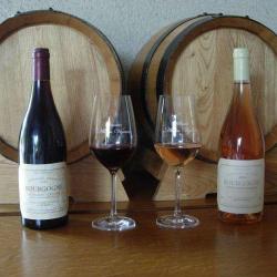 Domaine Alain Vignot