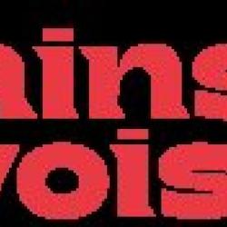 Vilains-voisins