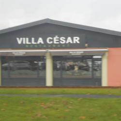 Villa César