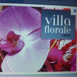 Villa Florale