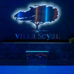 Villa Seyal