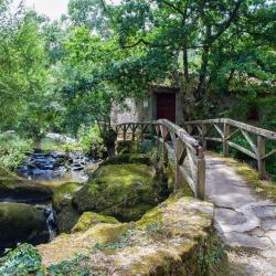 Village De Gîtes Du Moulin Neuf