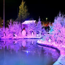 Village De Noel