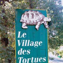 Village Des Tortues