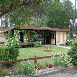 Les Villages Sous Les Pins