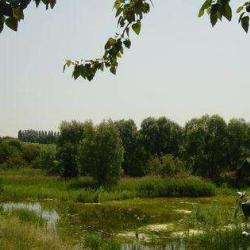 Villepinte
