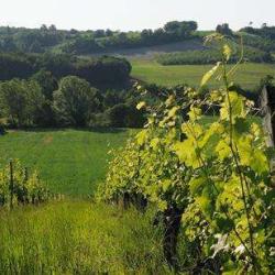Domaine Les Riquets