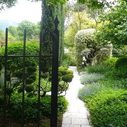 Vincent - Jardinier  - Cmonjardinier