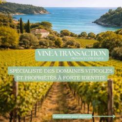 Vinea Transaction