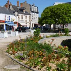 Vineuil