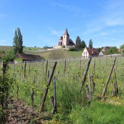 Vins André Vielweber