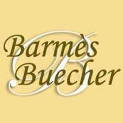 Vins Barmès Buecher