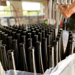 Vins D'alsace Robert Blanck