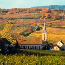 Vins D'alsace Wolff-dresch