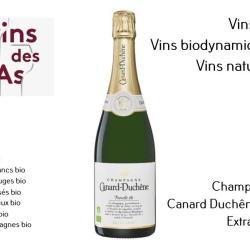 Vins Des As