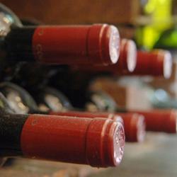 Vins Falguieres