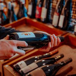 Vins Falguieres