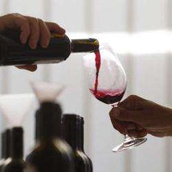 Vins Sur Vins