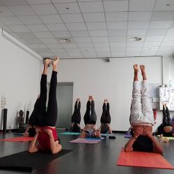 Vinyasa Yoga Studio