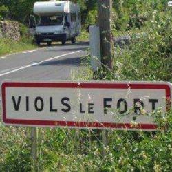 Viols Le Fort