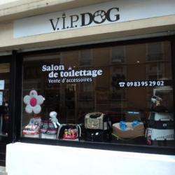 V.i.p Dog