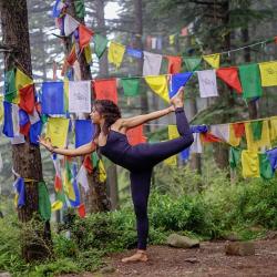 Virginie Centre De Yoga & Dance