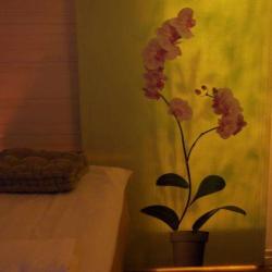 Vitalbodyspa