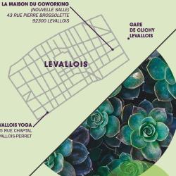 Vitality Levallois