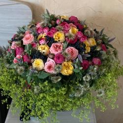 Vivaldi Fleurs