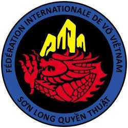 Vo Viet Nam Club De Saint-etienne