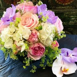 Vogel Fleurs-fanny Saga