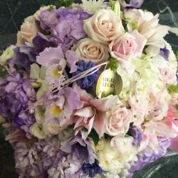 Vogel Fleurs-fanny Saga