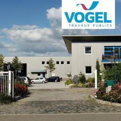 Vogel