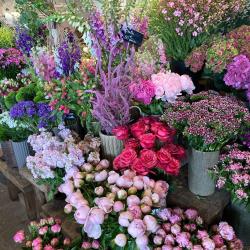 Voici Des Fleurs