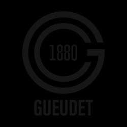 Volkswagen Beauvais Gueudet 1880