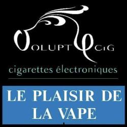 Voluptycig Montreuil