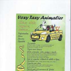Voxy Taxy Animalier17