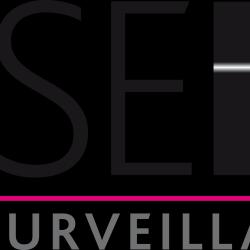 Vse Telesurveillance