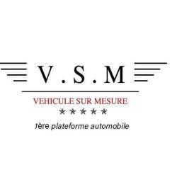 Vsm