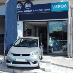 Vsp06