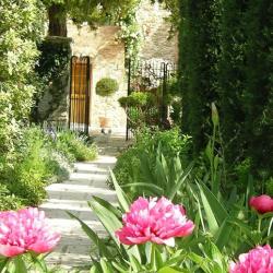 Vth Paysage - Paysagiste Cmonjardinier