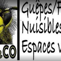 Wasps And Co