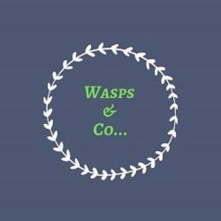 Wasps And Co