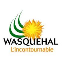 Wasquehal