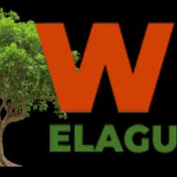 Wb Elagueur 77