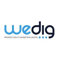 Wedig Nantes Agence Webmarketing Digitale