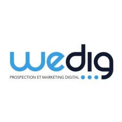Wedig Paris Agence Webmarketing Digitale