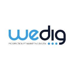 Wedig Vannes Agence Webmarketing Digitale