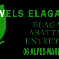 Wels élagage, Paysagiste Du 06